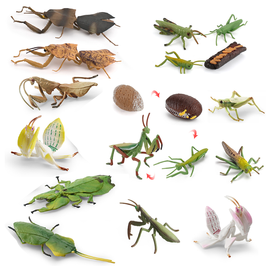 Kids No Education - Figura Realista de Orquídea Mantis, Mantis