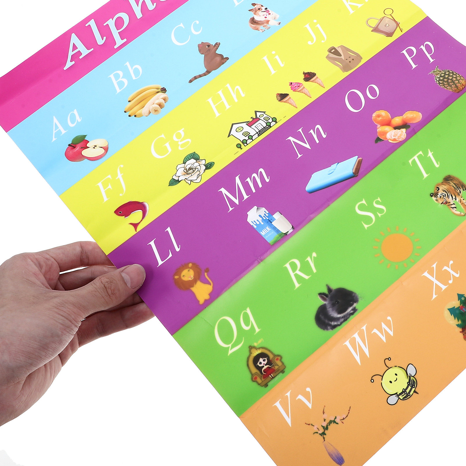 Póster educativo para niños, d - Kids Educational Poster reseña y precio