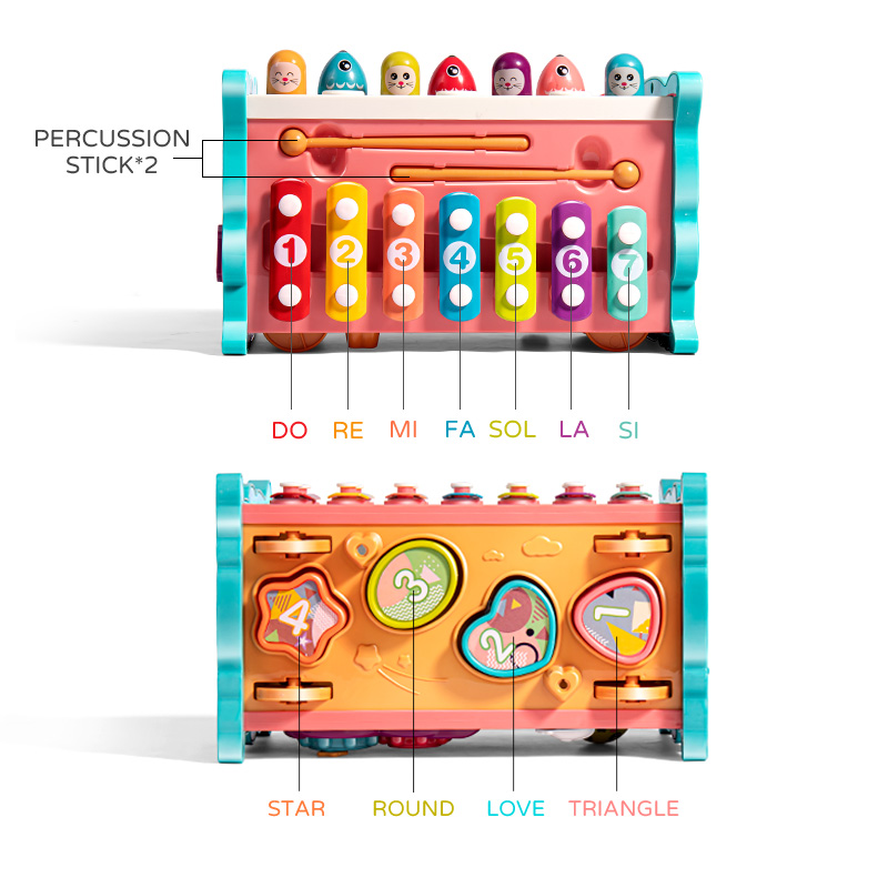 Cubo sensorial de pesca magnét - Kids Education Music reseña y precio