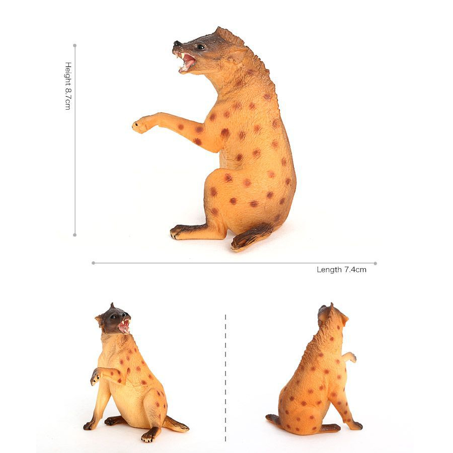 Hígena de vida silvestre de pl - Kids No Education reseña y precio