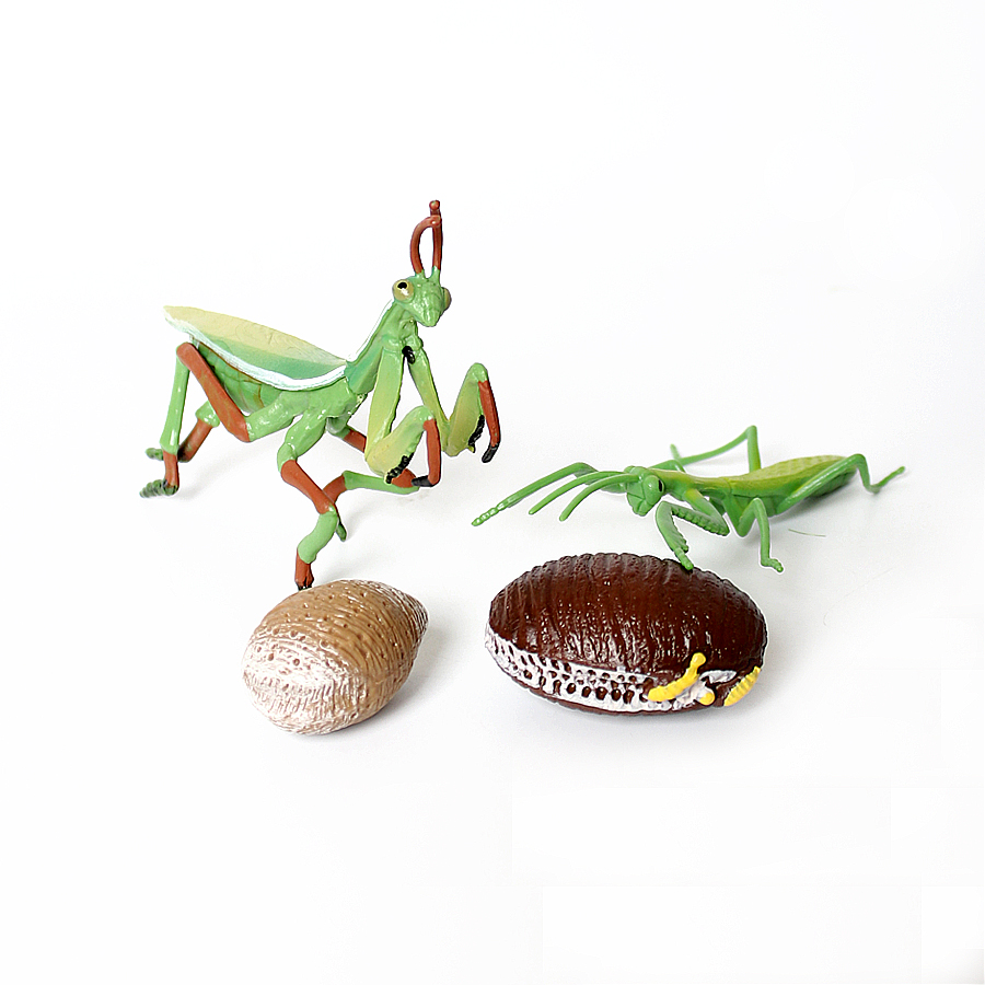 Figura Realista de Orquídea Ma - Kids No Education reseña y precio
